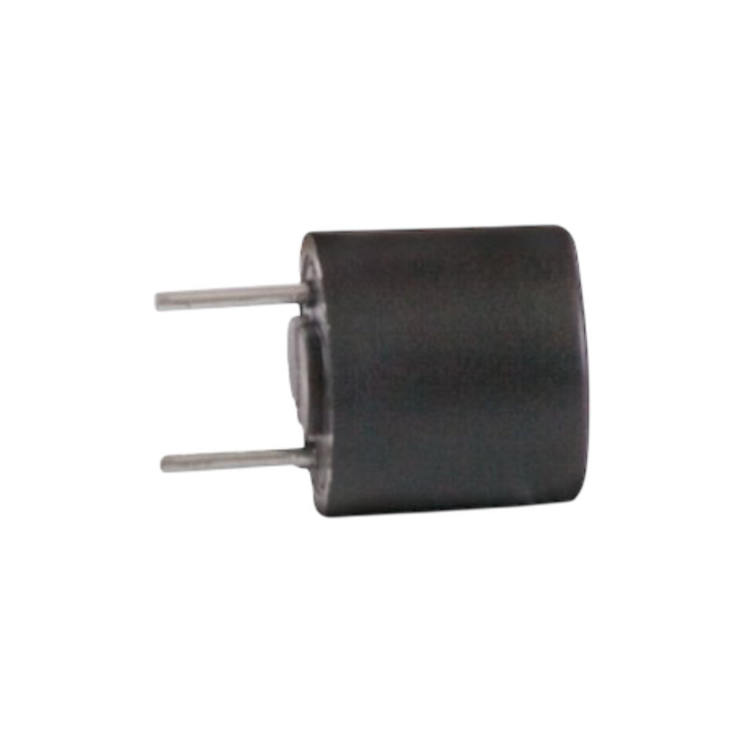 Whale AK1219 2A PCB anti-surge fuse for Expanse space and water heaters