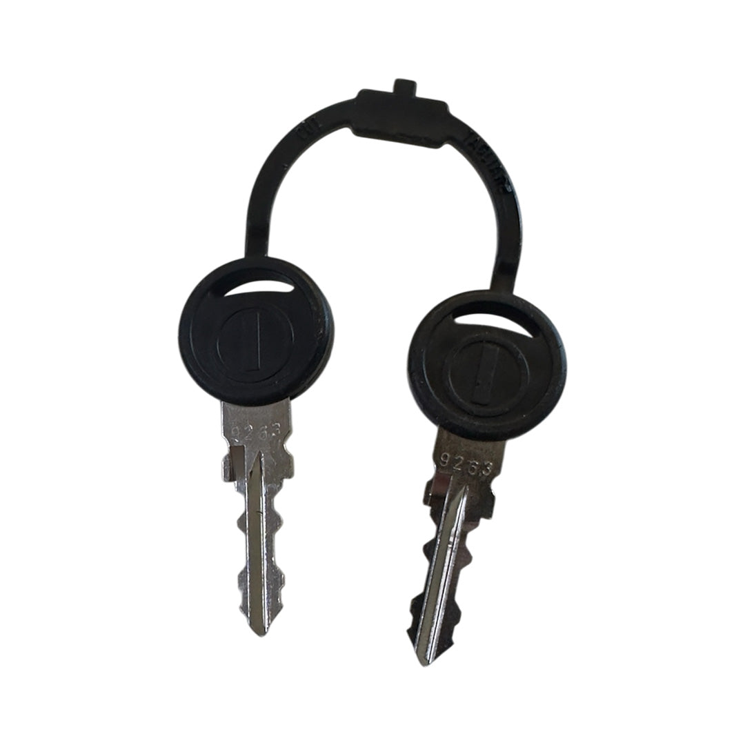 pair of zadi keys for locking water filler cap caravan motorhome